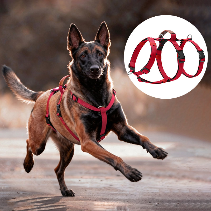 Kaçışa Dayanıklı Naylon Köpek  - No Pull Dog Harness incelemesi ve fiyatı