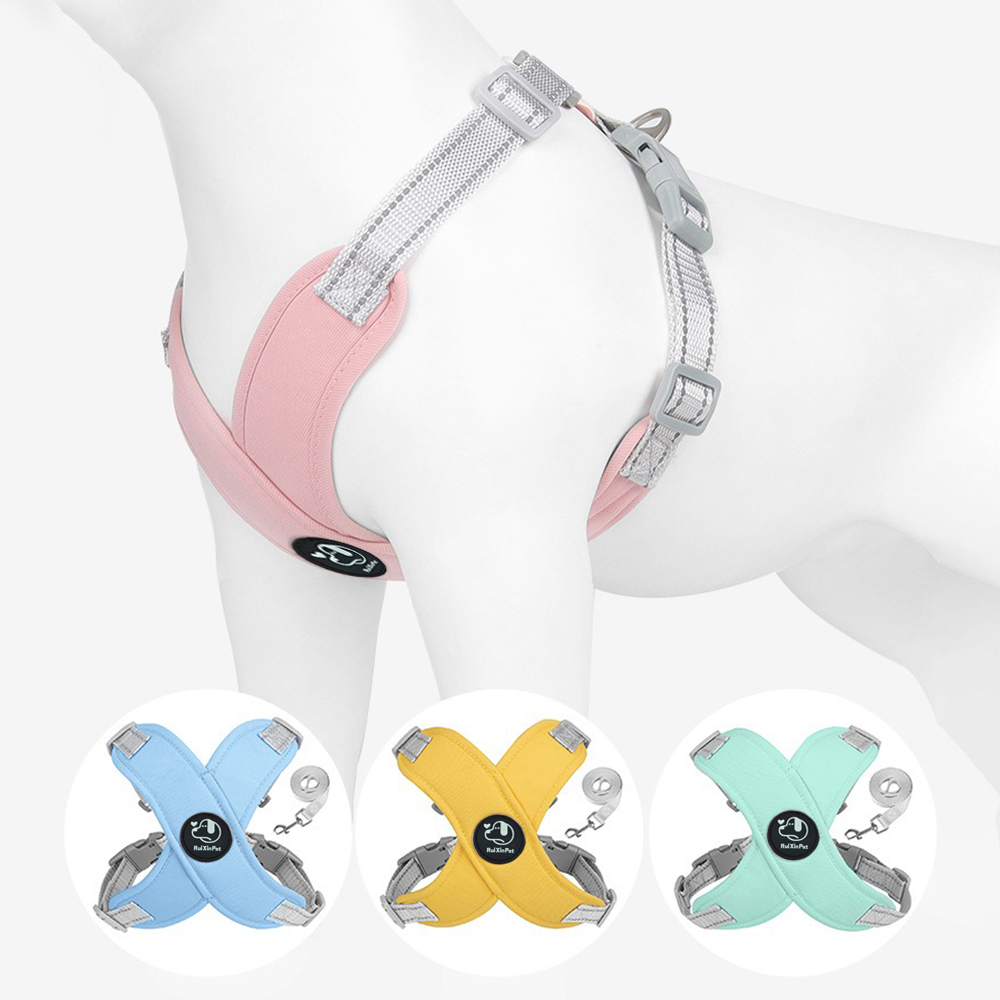 Yansıtıcı Köpek Yeleği ve Tasm - No Pull Dog Harness incelemesi ve fiyatı
