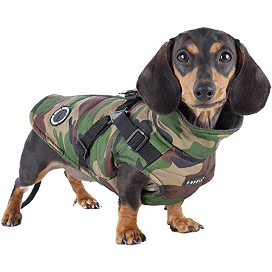 Dağcı Kışlık Köpek Montu, ente - No Pull Dog Harness incelemesi ve fiyatı