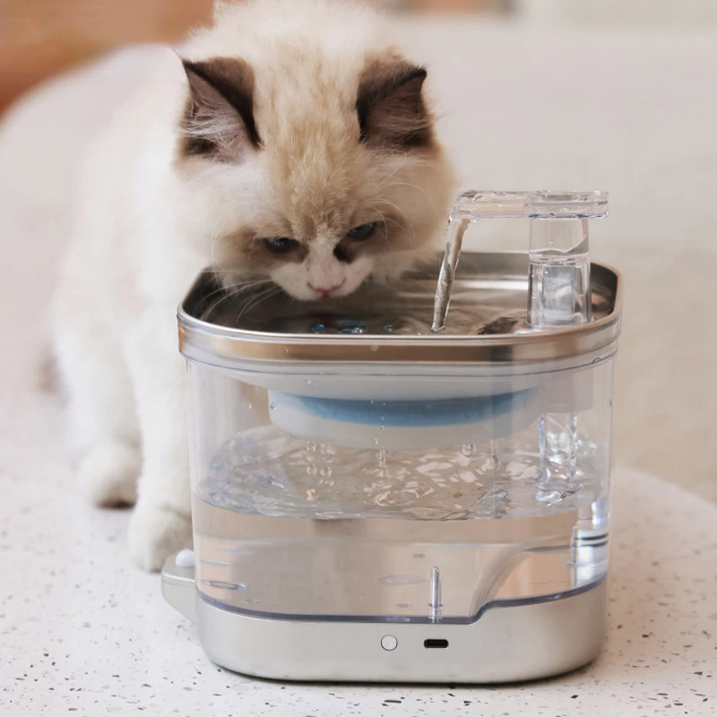 Giaativosativosativos Diego Di - Pet Water Fountain incelemesi ve fiyatı