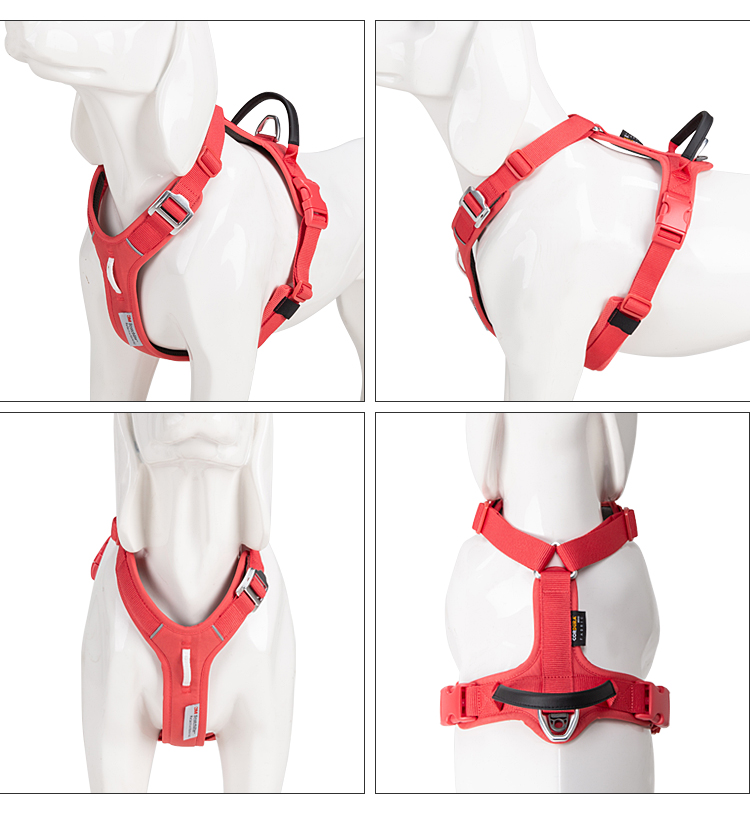 Pet Köpek Tasması Küçük Orta B - No Pull Dog Harness incelemesi ve fiyatı