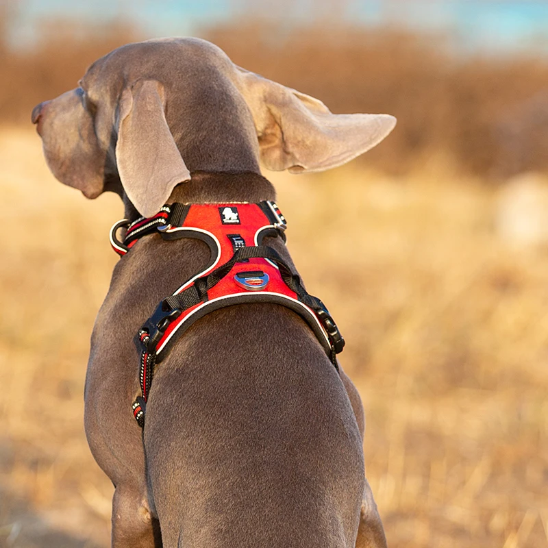 Truelove Pet Yansıtıcı Naylon  - No Pull Dog Harness incelemesi ve fiyatı