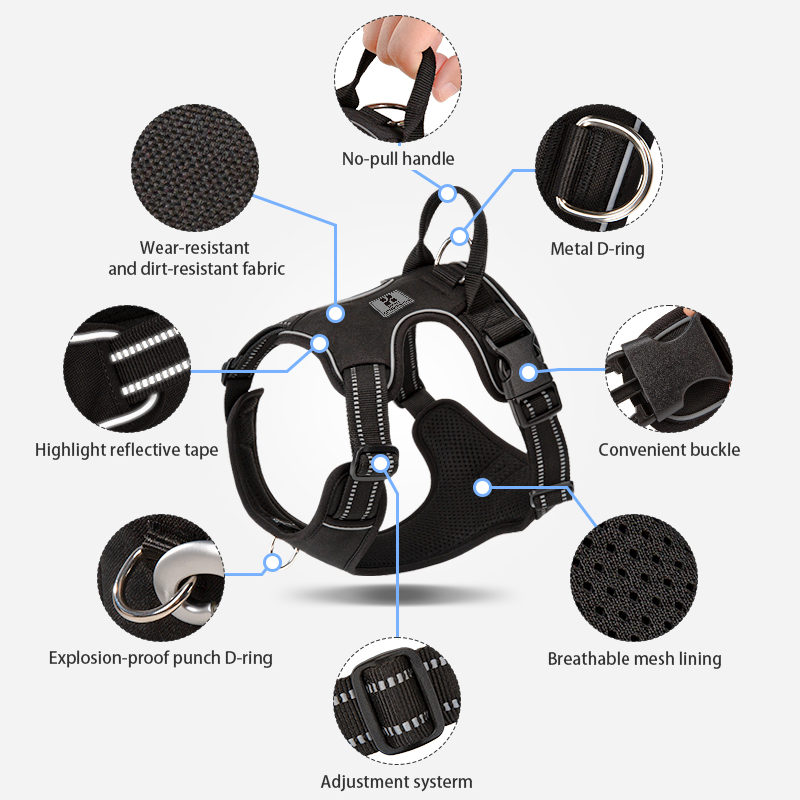 KÜÇÜK KOMBİNASYON Köpek Tasmas - No Pull Dog Harness incelemesi ve fiyatı