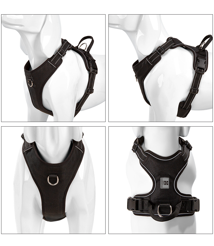 KÜÇÜK KOMBİNASYON Köpek Tasmas - No Pull Dog Harness incelemesi ve fiyatı