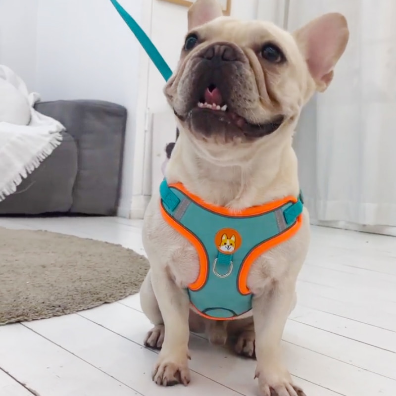 Ayarlanabilir Yansıtıcı Köpek  - No Pull Dog Harness incelemesi ve fiyatı