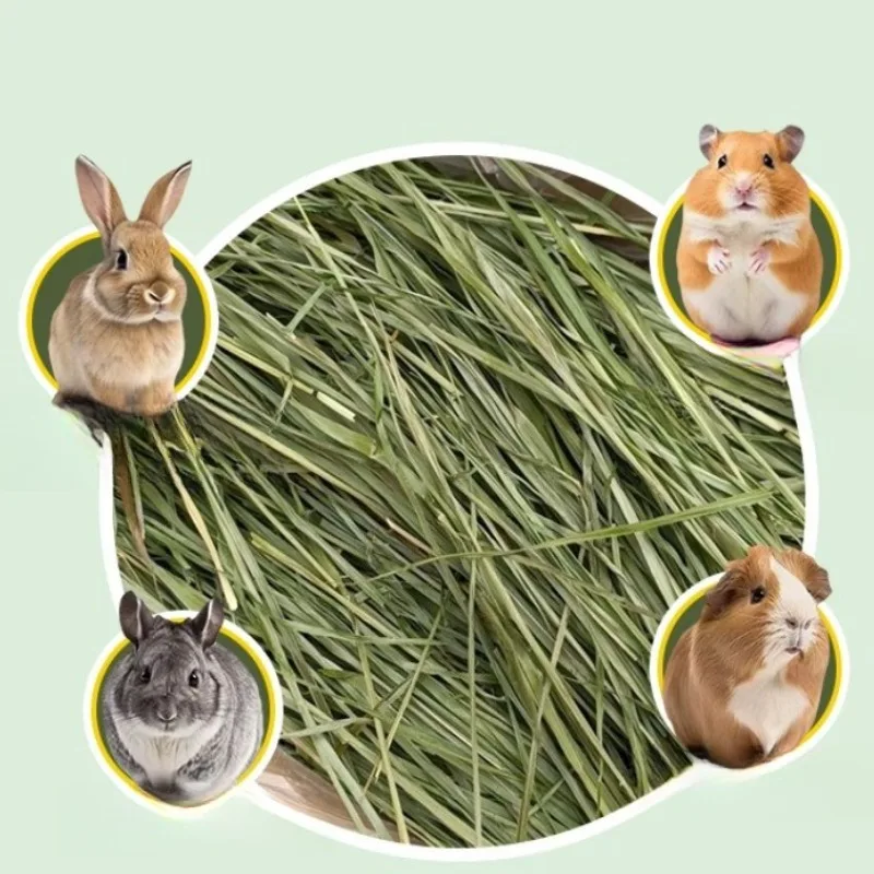 Yüksek Lifli Kurutulmuş Timoth - Pet Supplies Is Food incelemesi ve fiyatı
